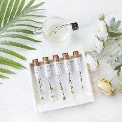 Simple and high-end design Marguerite flower tea stick 5pc set (made in Korea)