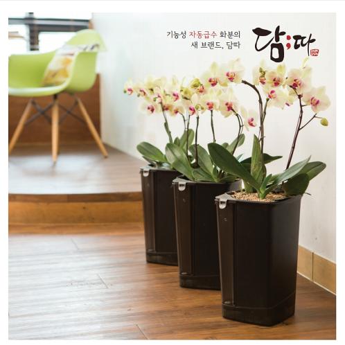 Smart Edge | www.koreaflowerpots.com, flower pots, fuctional flower pots, plastic pots, functionalflower pots, vegetable pots, office flower post, unique flower pots, balcony plant pots,color plant pots, planted flower pots, diy terracotta plant pots, Korea pots