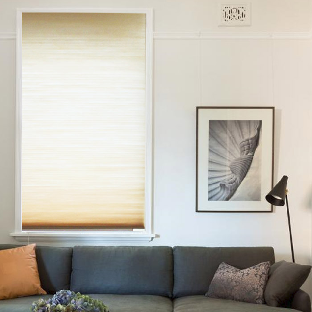 LIVINGTEX Light Filtering Cordless Honeycomb Shades (24Wx64H, Beige)