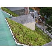 Drainage insulating board