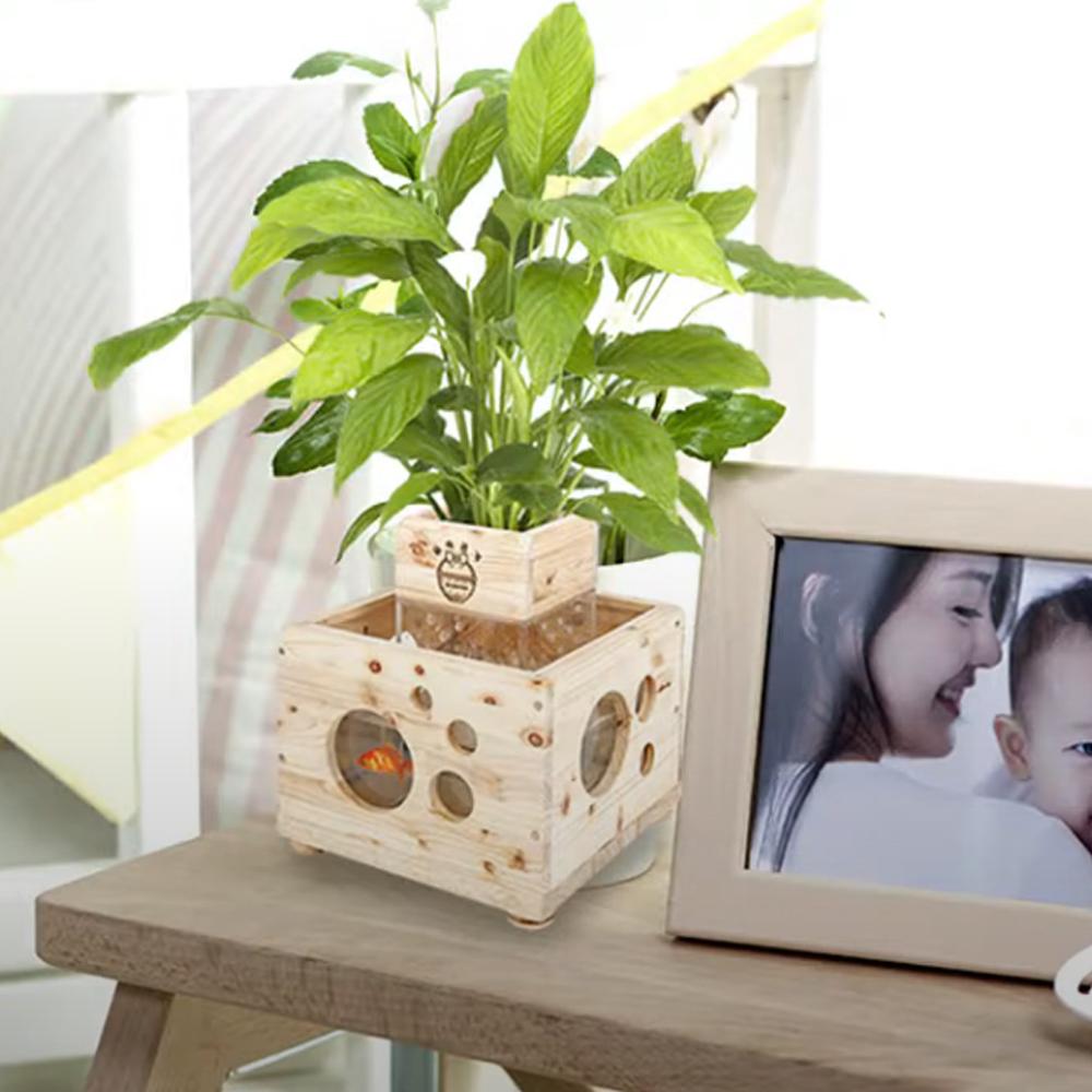 Eco Phytoncide Woods Humidification Air Cleaner Purifier Flowerpot Fishbowl