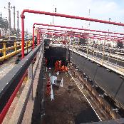 Non-Metallic Chin Flight Sludge Collector with long operating life and low maintenance cost