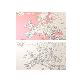 full image Dream Sky Nation-Map Decorative Coloring Painting DIY Paper Continent Map - Europe