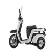 Electric Scooter EM3X