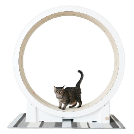 Cat wheel White 24k Gold Plated , Cat treadmill, Cat exercise machine, Cat weight control wheel