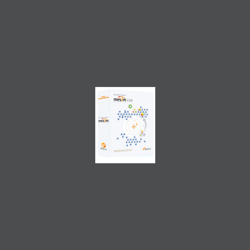 MESIM Smart-ESB