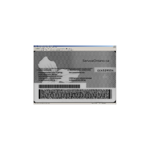 Decode Barcodes from Images and Cameras. Support to OCR and DPM (Direct Part Marking) or Dot Peen.