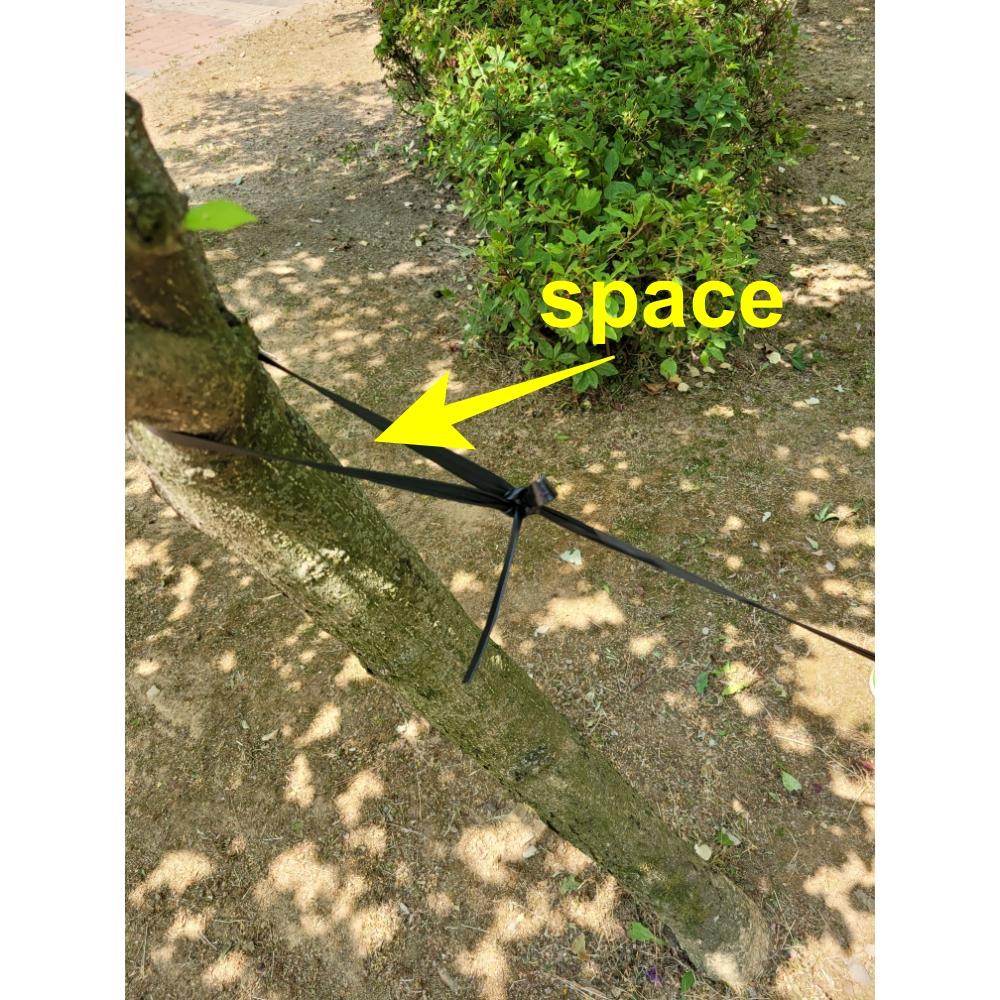 tree strap 12-300 tree tie