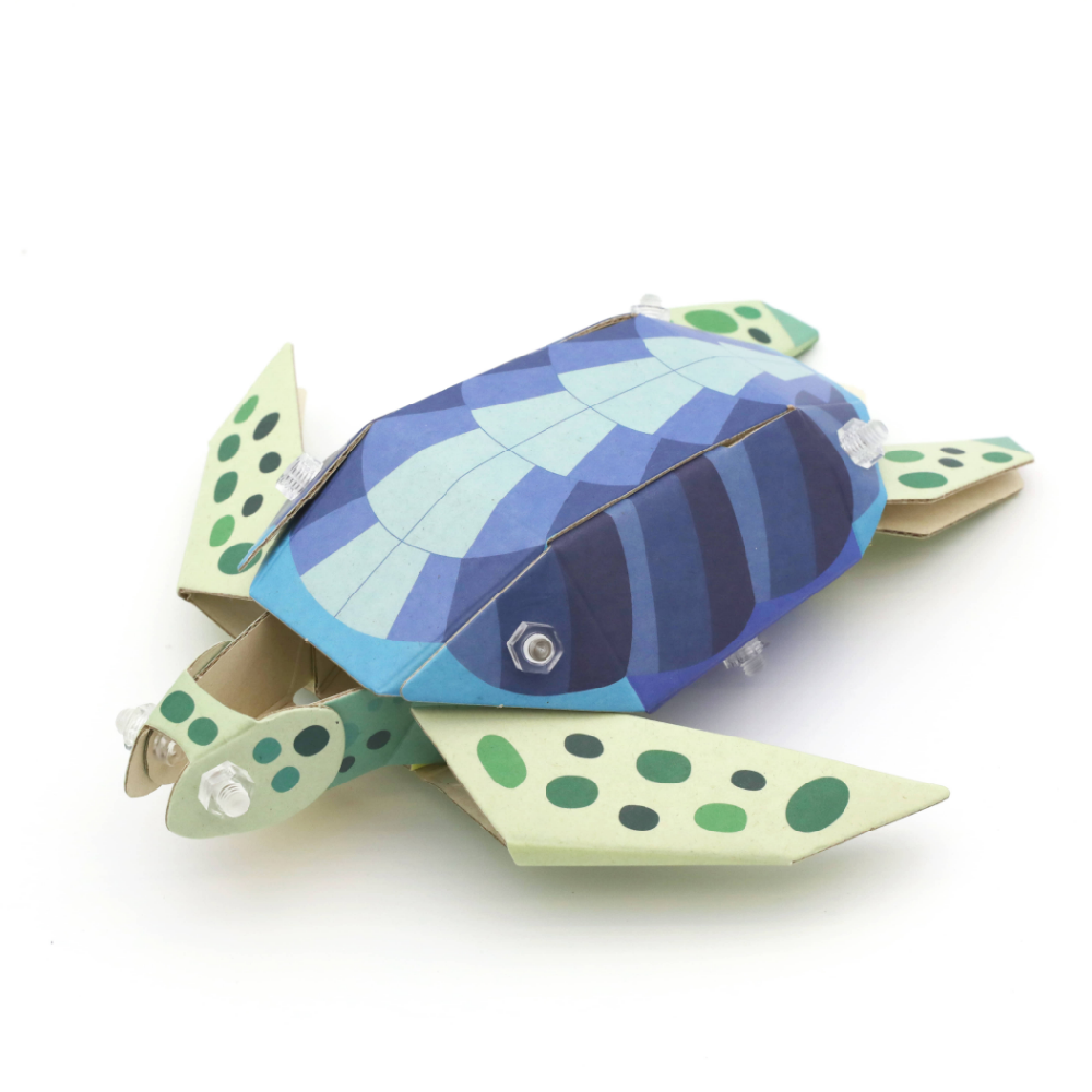 Artbot Green Sea Turtle