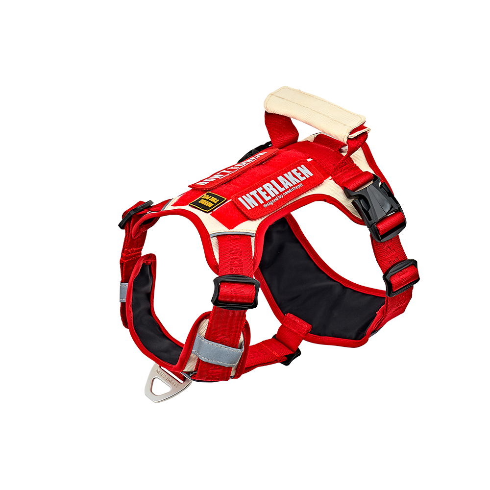 INTERLAKEN SLIM 2.0 HARNESS