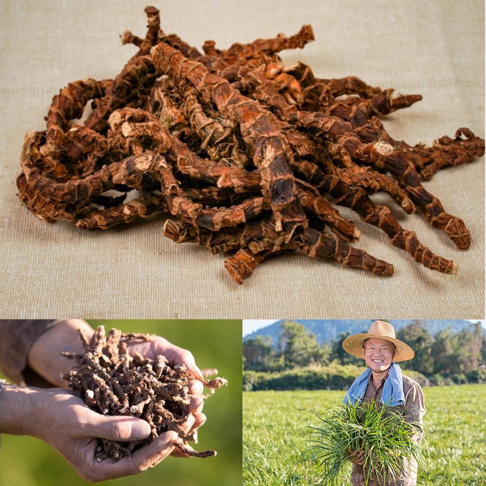 jeju seokchangpo Fermented Tea Gift Set