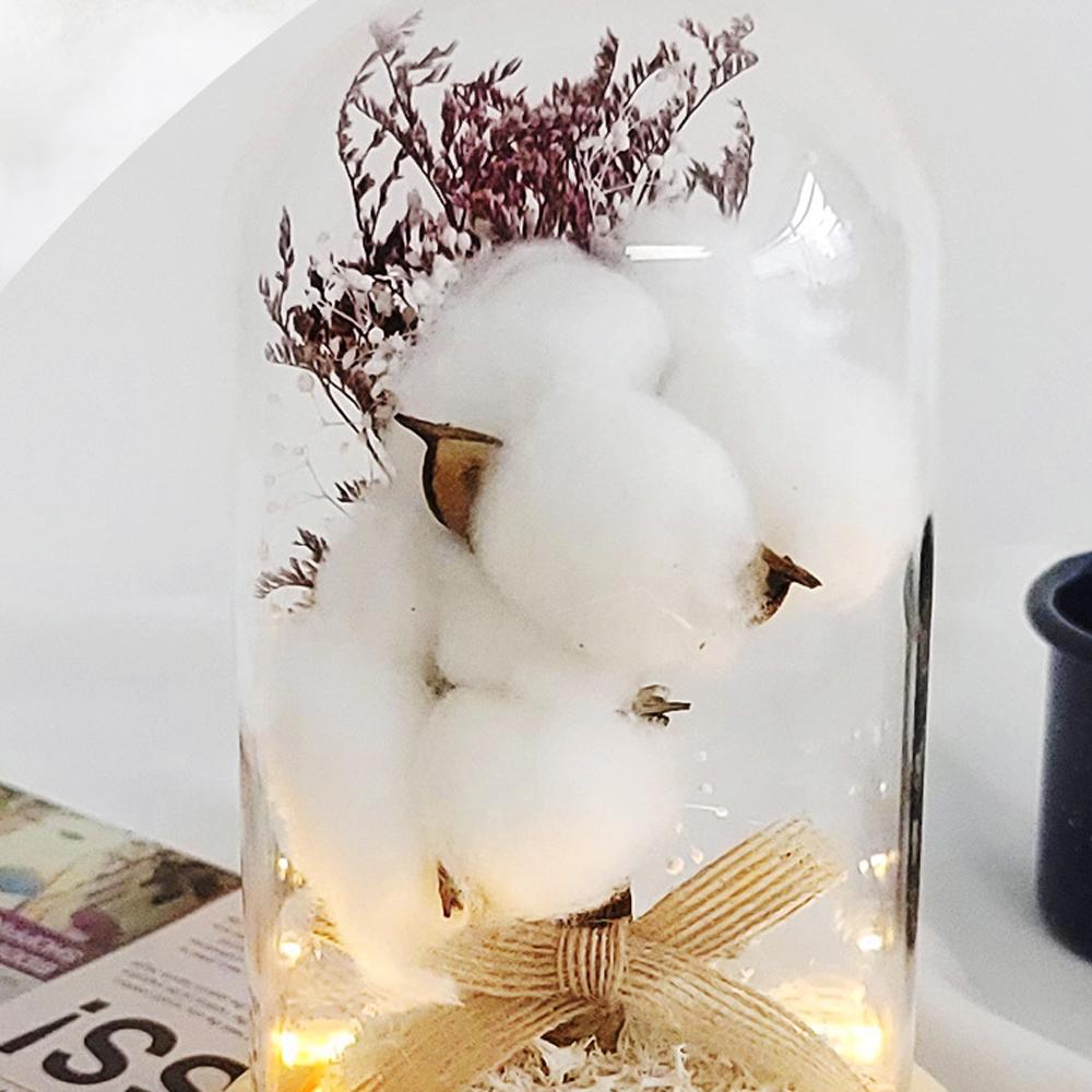 LED Cotton Glass Dome Mood Lamp Cozy Cotton Light