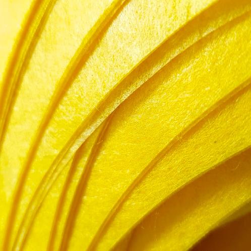 Natural Non-woven Golden Raw Silk Sheet | Silk, Cosmetic, Bioengineering, Face mask, Tissue engineering, Smart fabric, Silk decoration, Tea bag, Coffee filter, Medical gown, Wipes, Tissues, Hydrogel, Diapers, Feminine pads