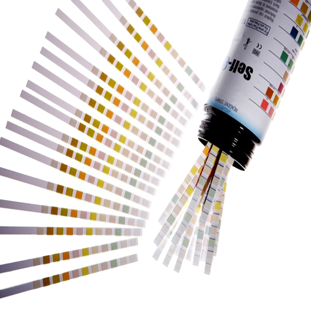 Self-Stik 10 - Urine Test Strip